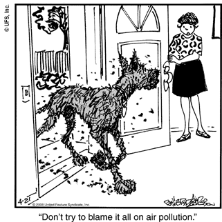 marmaduke